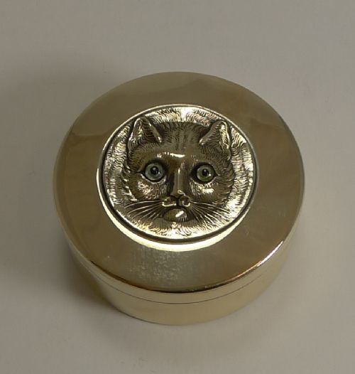 antique brass box cat with glass eyes c1890