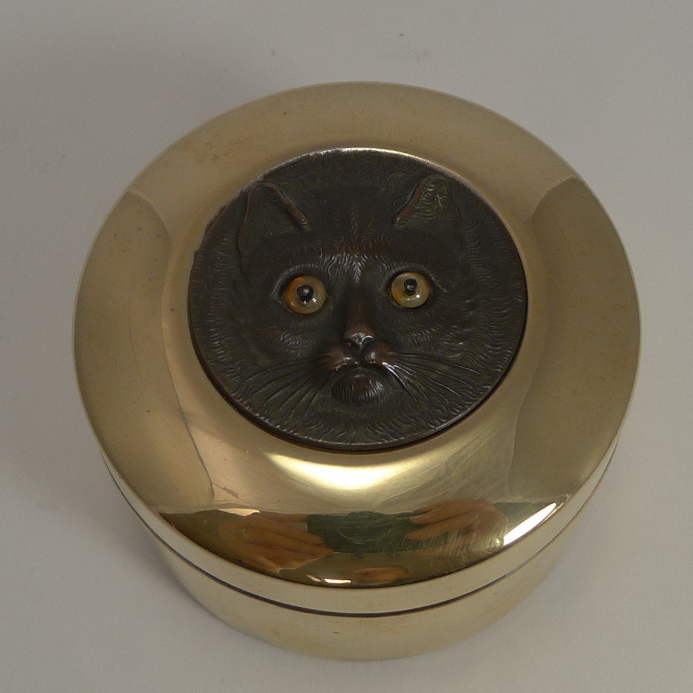 antique brass box cat with glass eyes c1890
