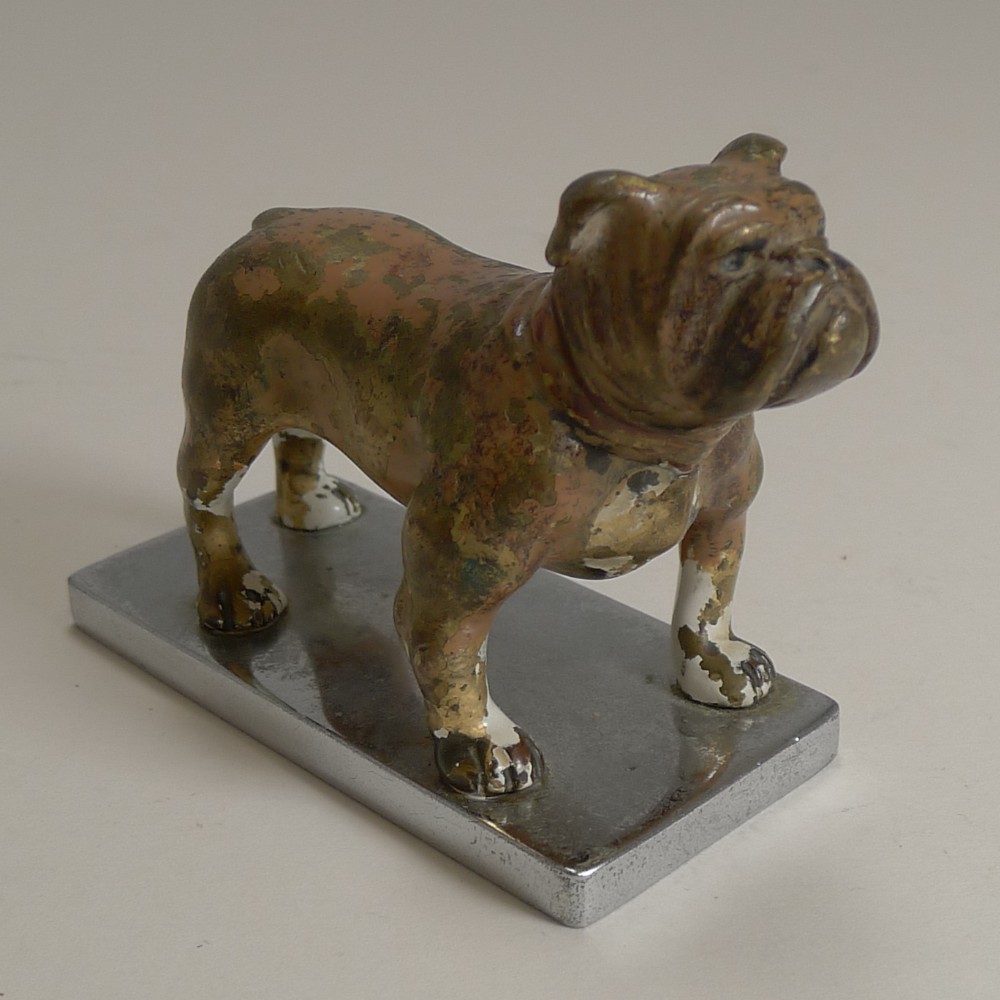 antique vienna cold painted bronze boxer dog c1900 car mascot